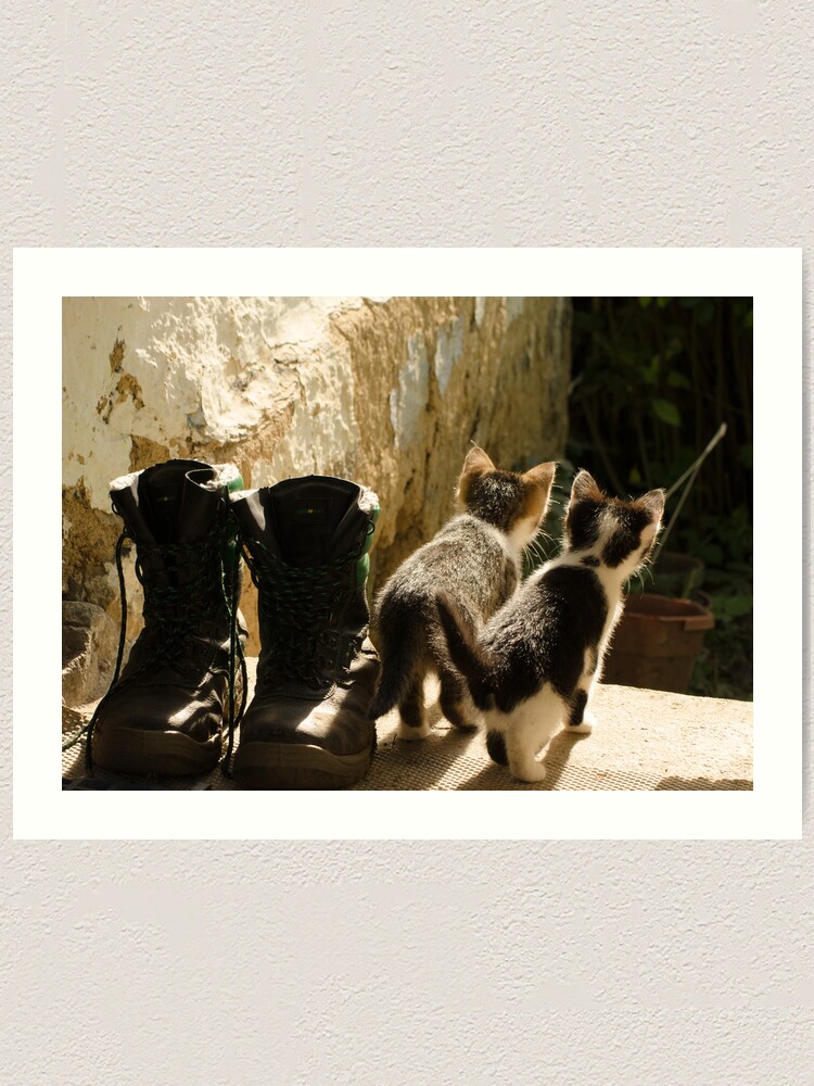 Thumbnail 1 of 3, Art Print, Young cats game designed and sold by Septi79.