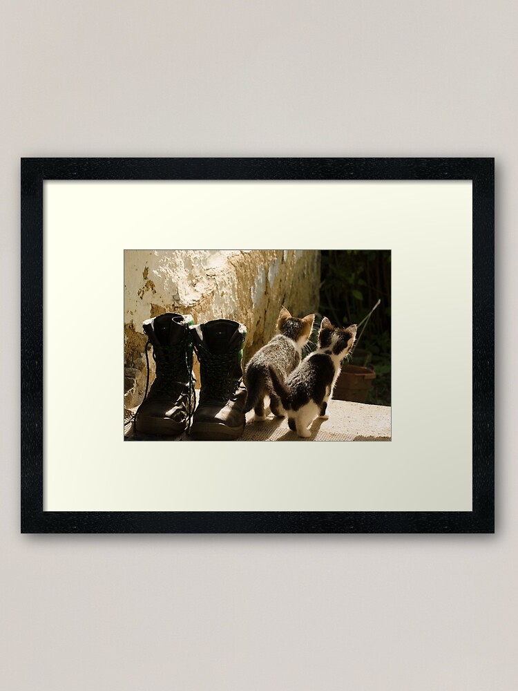 Thumbnail 1 of 7, Framed Art Print, Young cats game designed and sold by Septi79.