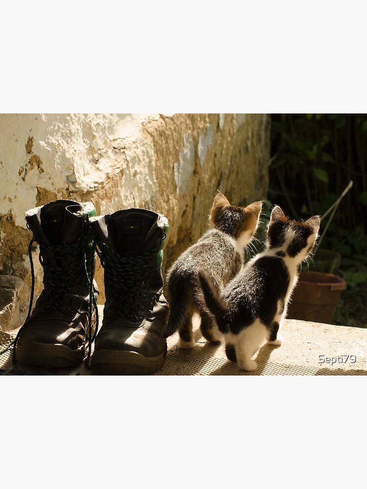 Thumbnail 3 of 3, Art Print, Young cats game designed and sold by Septi79.