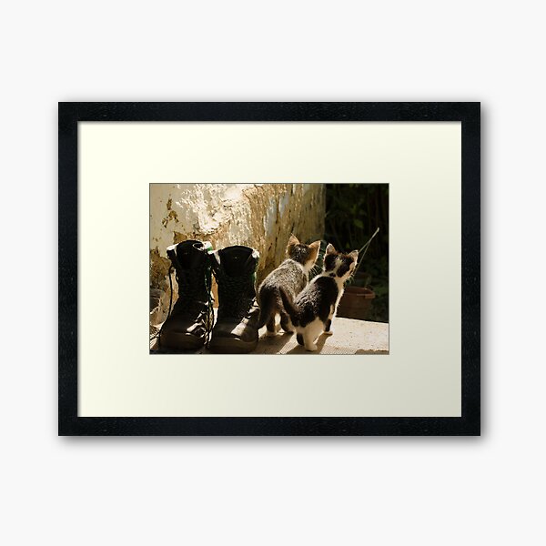 Framed Art Print