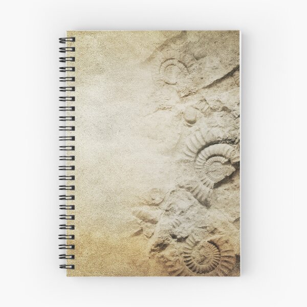 Item preview, Fascinating Fossilized Ammonites designed and sold by VintageArtistry.