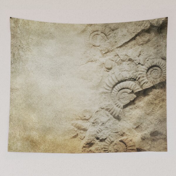 Item preview, Fascinating Fossilized Ammonites designed and sold by VintageArtistry.