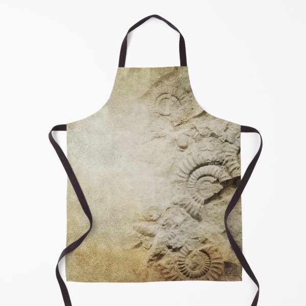 Item preview, Fascinating Fossilized Ammonites designed and sold by VintageArtistry.