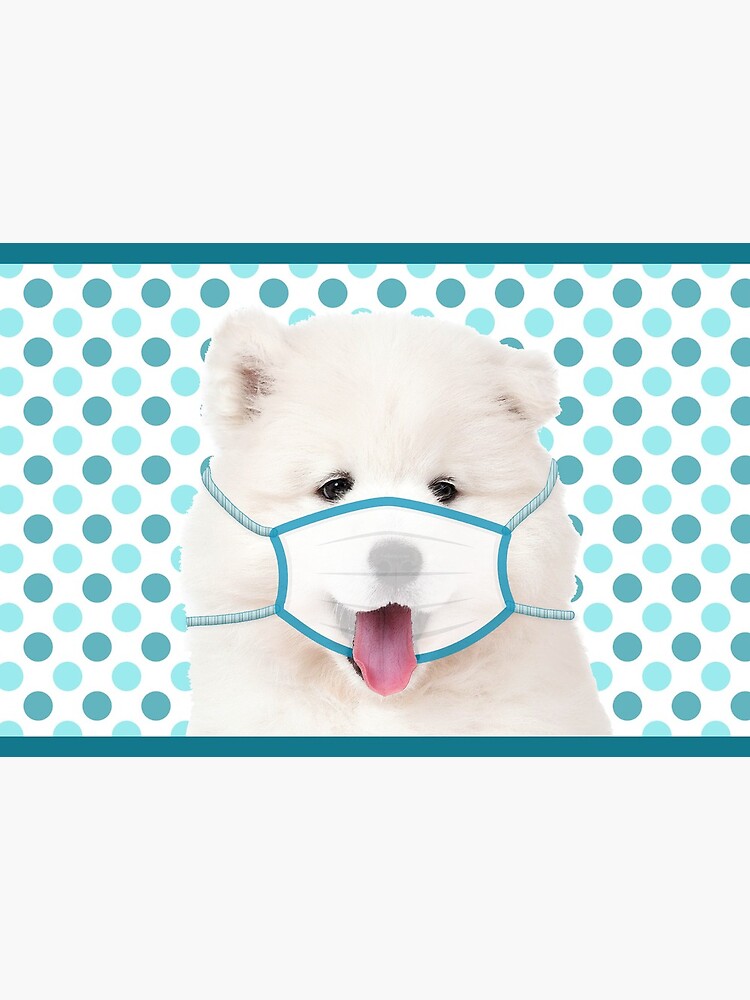 Samoyed Cutie by itsmechris