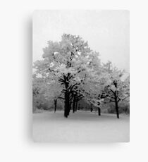 JD&J Book Cover Design Canvas Print