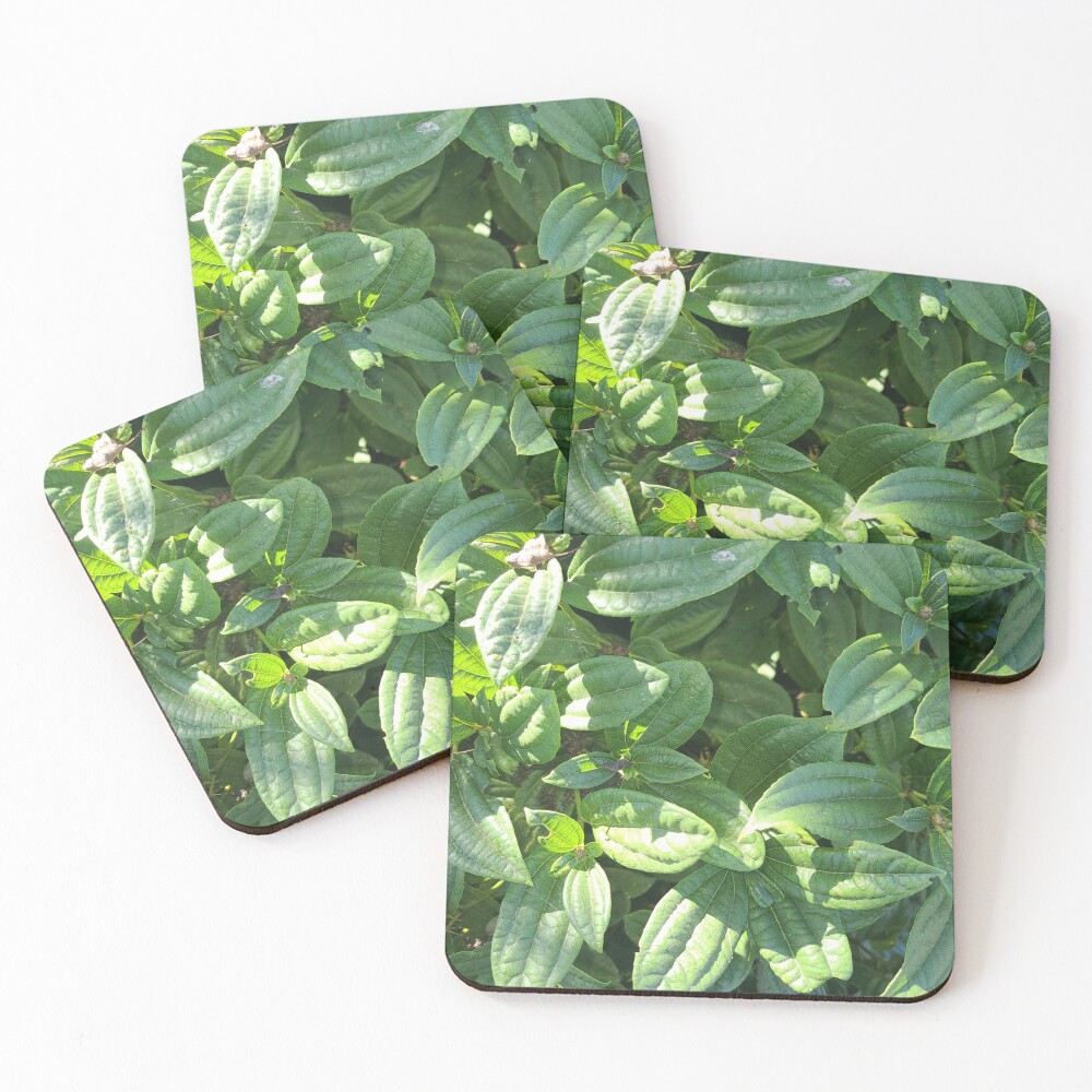 Item preview, Coasters (Set of 4) designed and sold by RKSDesigns.