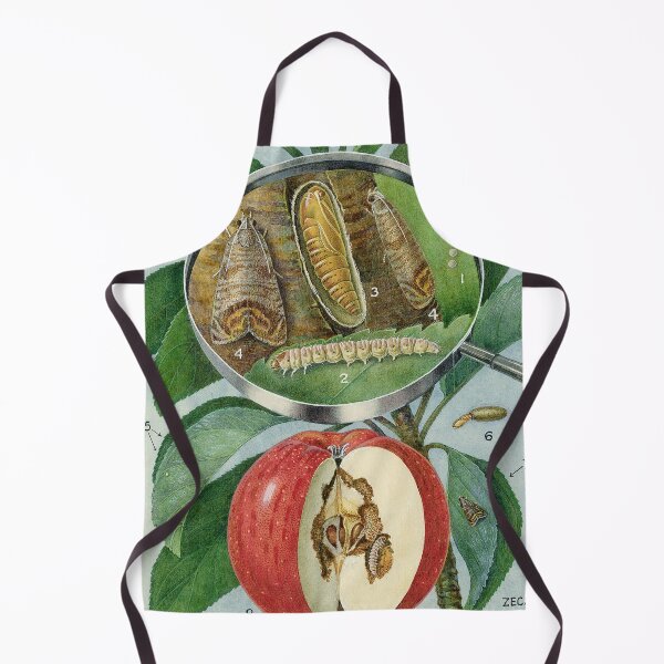 Item preview, Codling Moth designed and sold by BiosecurityColl.