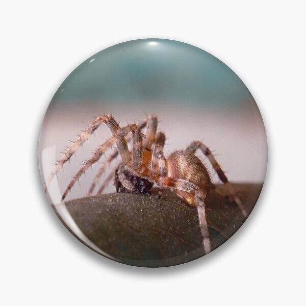 Item preview, ©NS Spider Time IA. designed and sold by OmarHernandez.