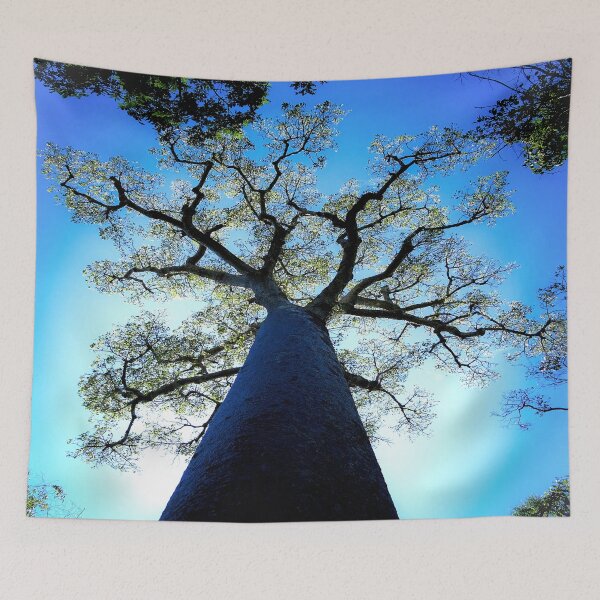 Item preview, Baobab Tree in Madagascar, Africa designed and sold by GhostGumDesigns.