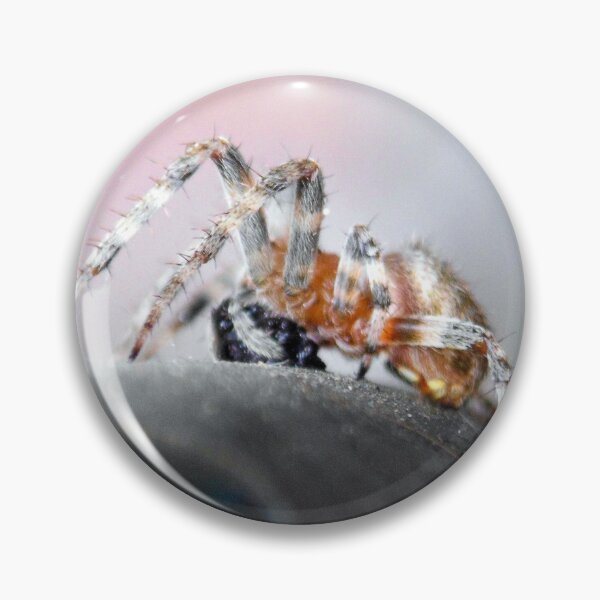 Item preview, ©NS Spider Time IIA. designed and sold by OmarHernandez.