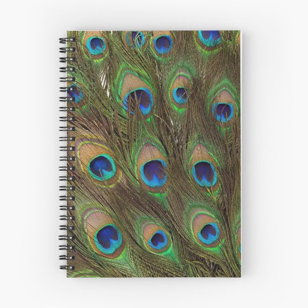 Item preview, Peacock Feathers designed and sold by VintageArtistry.