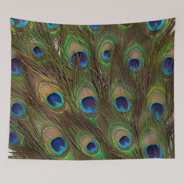 Item preview, Peacock Feathers designed and sold by VintageArtistry.