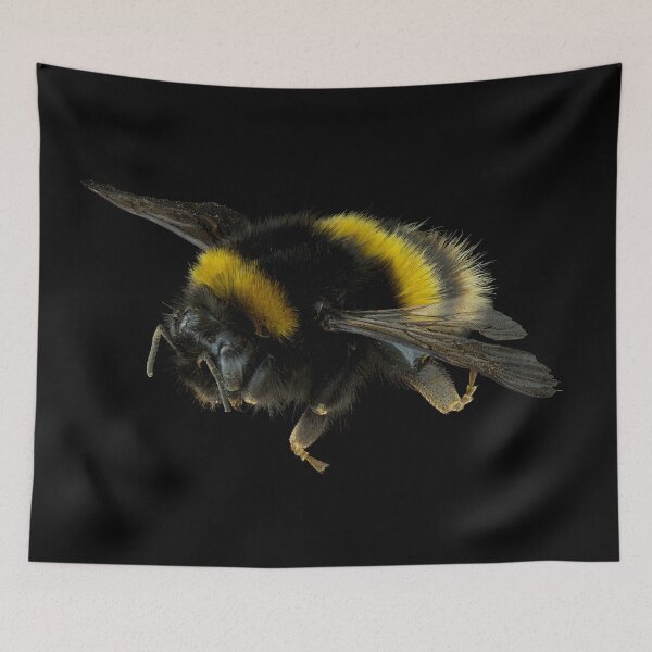 Item preview, European Bumble Bee designed and sold by BiosecurityColl.