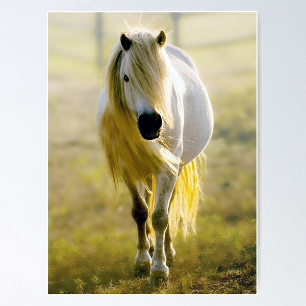 Item preview, Pony Power designed and sold by horseymj1.