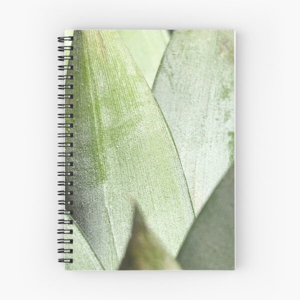 Item preview, Pineapple Leaf Fiji Islands Fruit  designed and sold by Kaushal Pal.