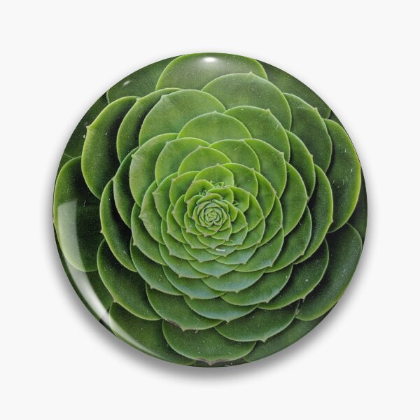 Item preview, Green Succulent Design designed and sold by kookyplantslife.