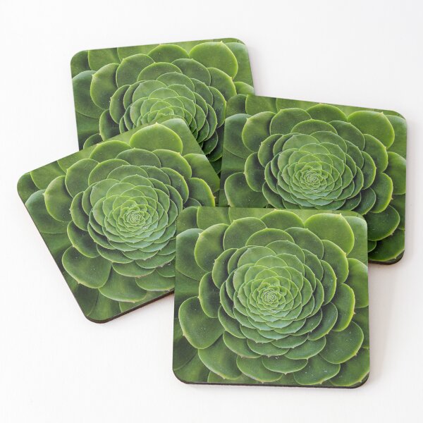 Item preview, Green Succulent Design designed and sold by kookyplantslife.