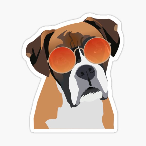  Boxer Dog wearing Sunburst Sunglasses Sticker