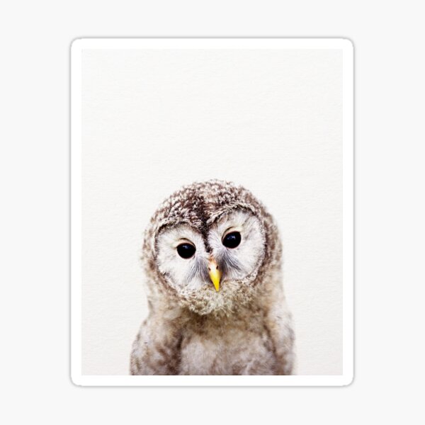 Item preview, Baby Owl, Baby Animals Art Print by Synplus designed and sold by synplus.