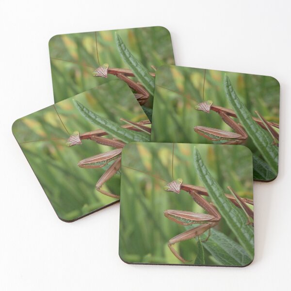 Item preview, Mantis designed and sold by catrantula.