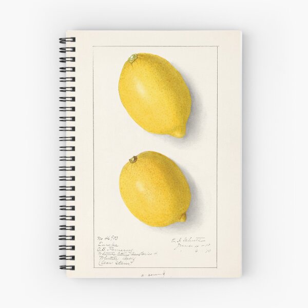 Item preview, lemon (citrus lemon) vintage poster designed and sold by earlgreylatte.