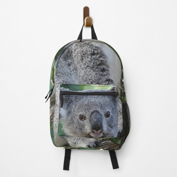 Item preview, Cute Australian koala in a gumtree designed and sold by FranWest.