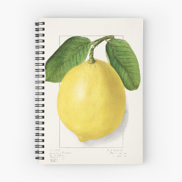 Item preview, lemon with branch vintage poster design designed and sold by earlgreylatte.