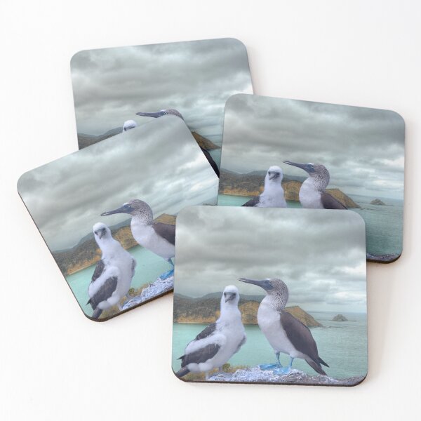 Item preview, Sea birds with blue dancing shoes at sunrise designed and sold by Steven Kight.