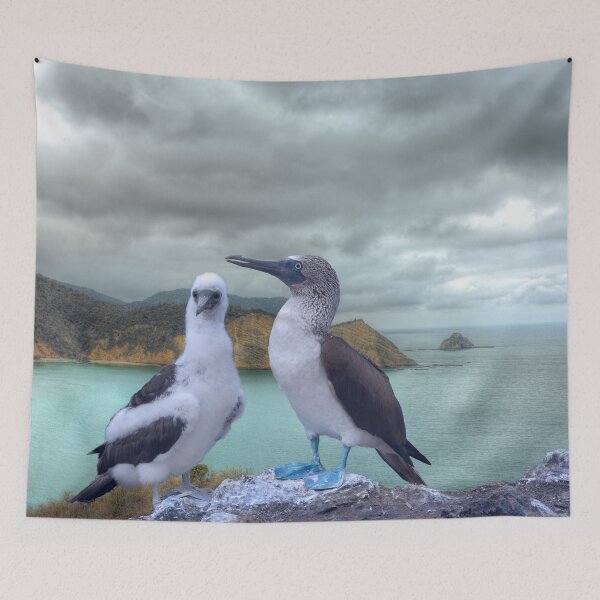 Item preview, Sea birds with blue dancing shoes at sunrise designed and sold by Steven Kight.