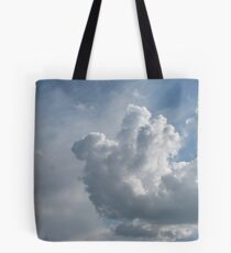 Coming In For A Landing Tote Bag