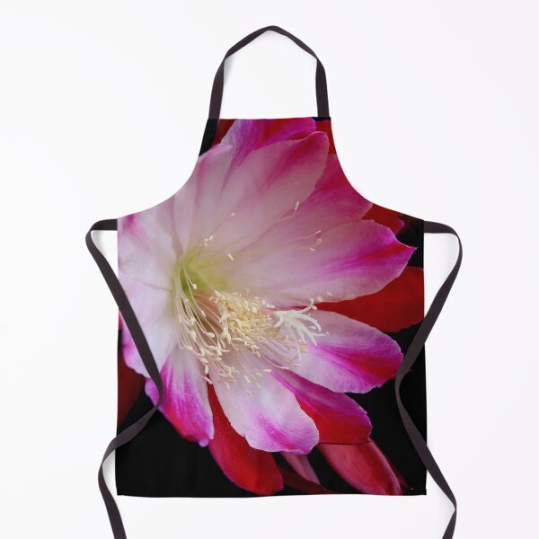 Item preview, No Country Bumpkin Here designed and sold by Michael May.