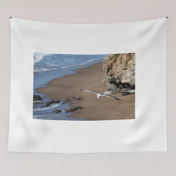 Item preview, Seagull in flight  designed and sold by 2Canons.