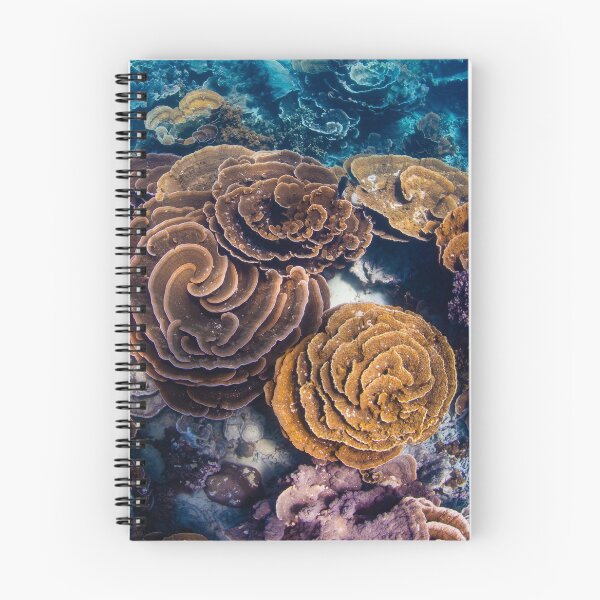 Item preview, Coral Gardens designed and sold by Jesshaddenphoto.