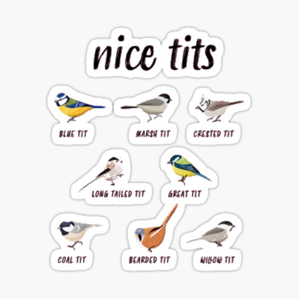 Funny birdwatching Sticker