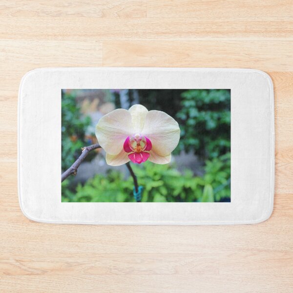 Item preview, Orchid from Washington DC designed and sold by 2Canons.