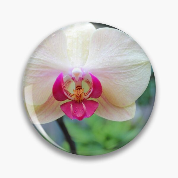 Item preview, Orchid from Washington DC designed and sold by 2Canons.