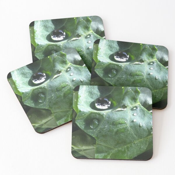 Item preview, Water Drop on Green Leaf Gai Lan designed and sold by Natural Healer.