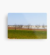 Menindee Lake Metal Print