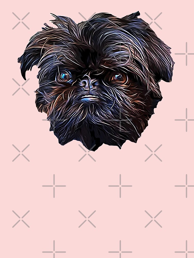 cute brussels griffon