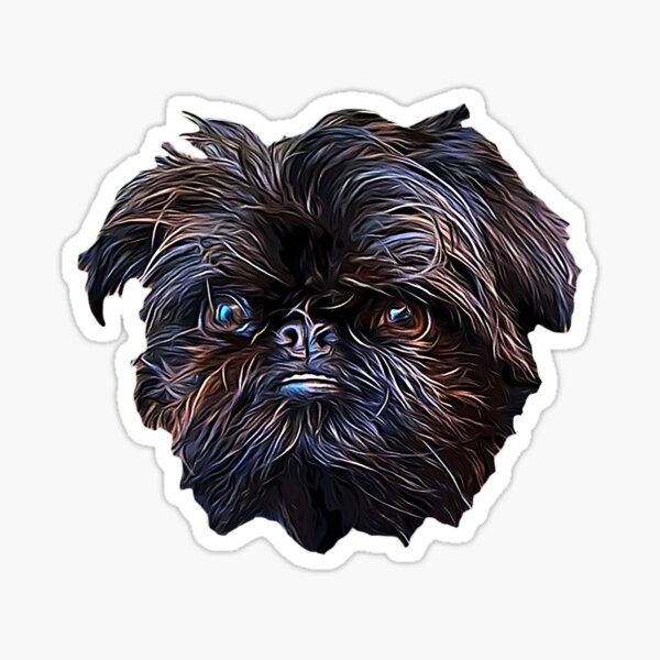 Brussels shop griffon gifts