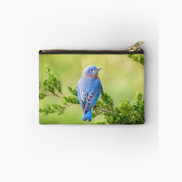 Item preview, Beautiful bird sitting on the tree designed and sold by Divya528.