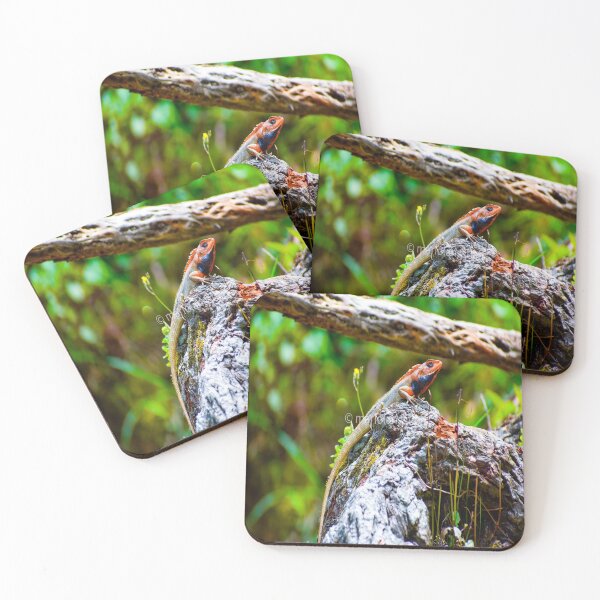 Item preview, Camouflaging chameleon designed and sold by Mariolangstieh.