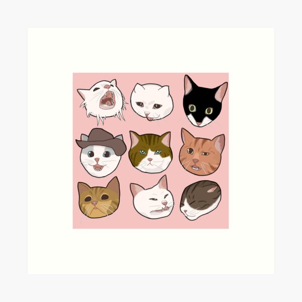 "Funny Dank Cat Meme " Art Print by banananyx Redbubble