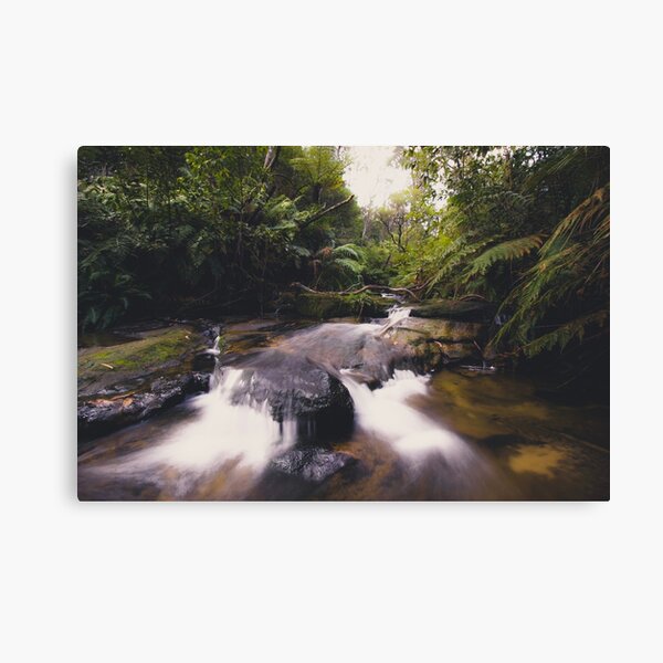 Item preview, Leura Cascades Blue Mountains Australia designed and sold by Nathan Murphy.