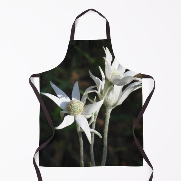 Item preview, Flannel Flowers (Actinotus helianthi) designed and sold by Marilyn Harris.
