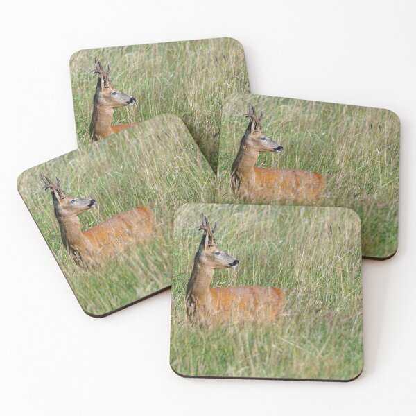 Item preview, Roe Deer in the long grass designed and sold by Dalyndigital Photography.