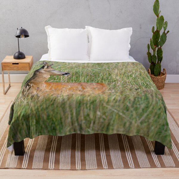 Item preview, Roe Deer in the long grass designed and sold by Dalyndigital Photography.