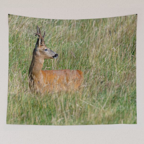 Item preview, Roe Deer in the long grass designed and sold by Dalyndigital Photography.