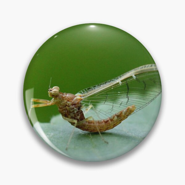 Artikelvorschau, Miniatur Drache entworfen und verkauft von cuprum.