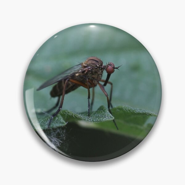 Item preview, Bug hunt 7 designed and sold by cuprum.